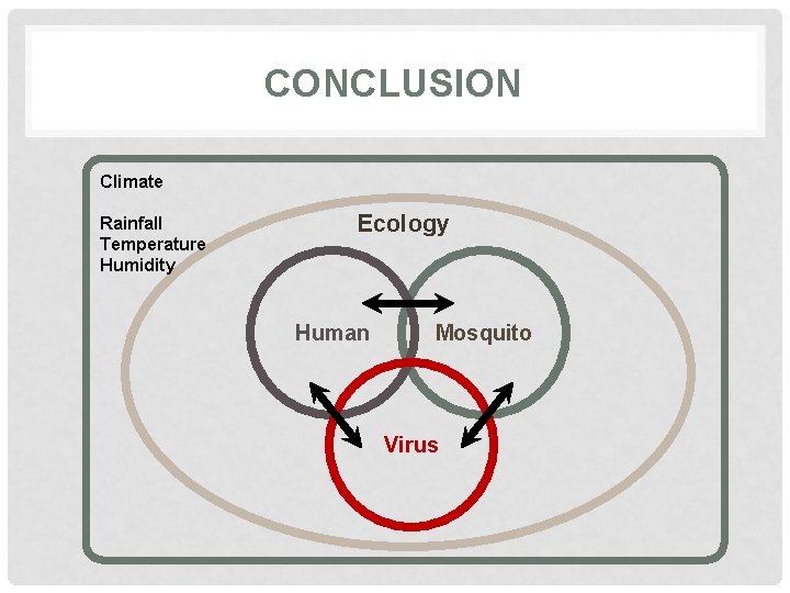 CONCLUSION Climate Rainfall Temperature Humidity Ecology Human Mosquito Virus 