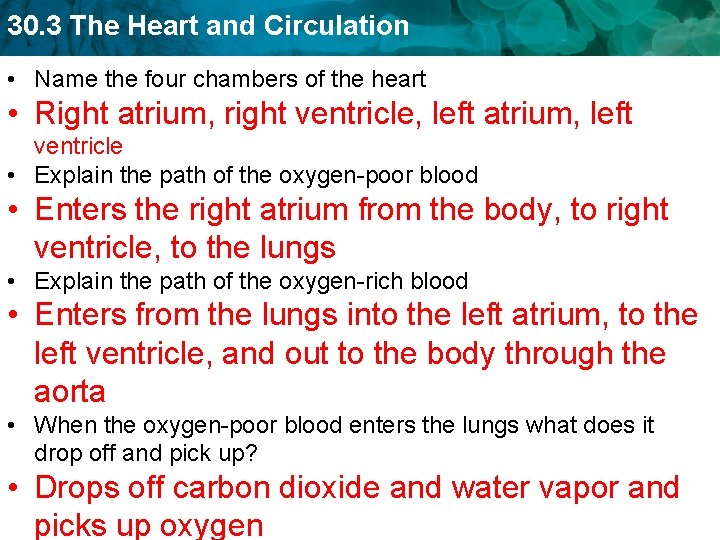 30. 3 The Heart and Circulation • Name the four chambers of the heart 30. 3 The Heart and Circulation • Name the four chambers of the heart