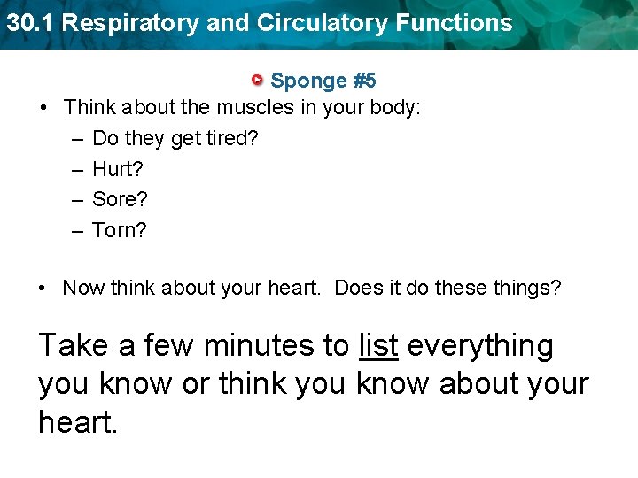 30. 1 Respiratory and Circulatory Functions Sponge #5 • Think about the muscles in 30. 1 Respiratory and Circulatory Functions Sponge #5 • Think about the muscles in