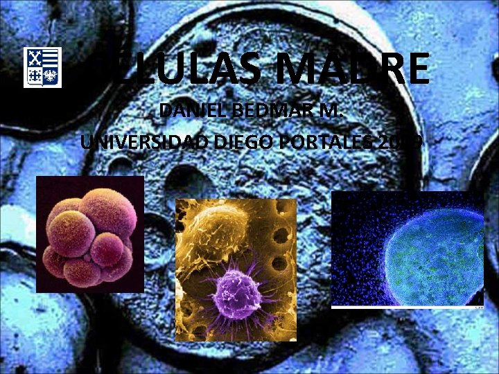 CÉLULAS MADRE DANIEL BEDMAR M. UNIVERSIDAD DIEGO PORTALES 2009 