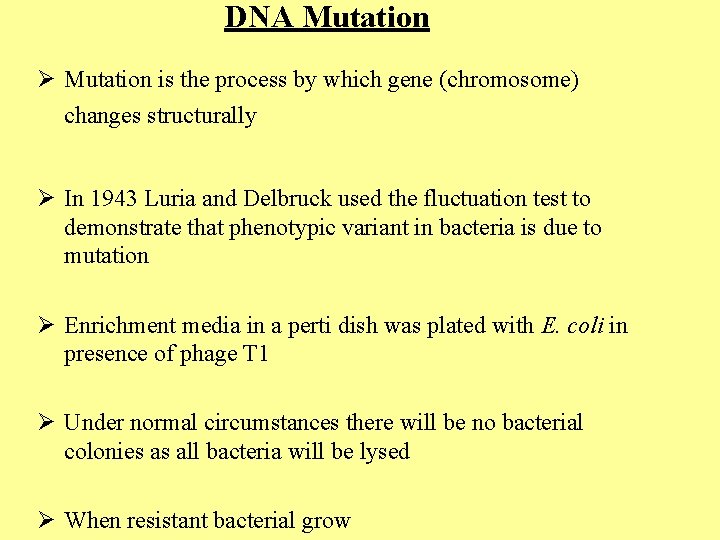 DNA Mutation Ø Mutation is the process by which gene (chromosome) changes structurally Ø