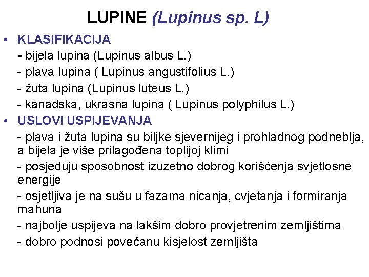 LUPINE (Lupinus sp. L) • KLASIFIKACIJA - bijela lupina (Lupinus albus L. ) - LUPINE (Lupinus sp. L) • KLASIFIKACIJA - bijela lupina (Lupinus albus L. ) -