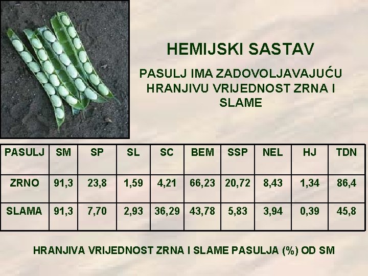 HEMIJSKI SASTAV PASULJ IMA ZADOVOLJAVAJUĆU HRANJIVU VRIJEDNOST ZRNA I SLAME PASULJ SM SP SL HEMIJSKI SASTAV PASULJ IMA ZADOVOLJAVAJUĆU HRANJIVU VRIJEDNOST ZRNA I SLAME PASULJ SM SP SL