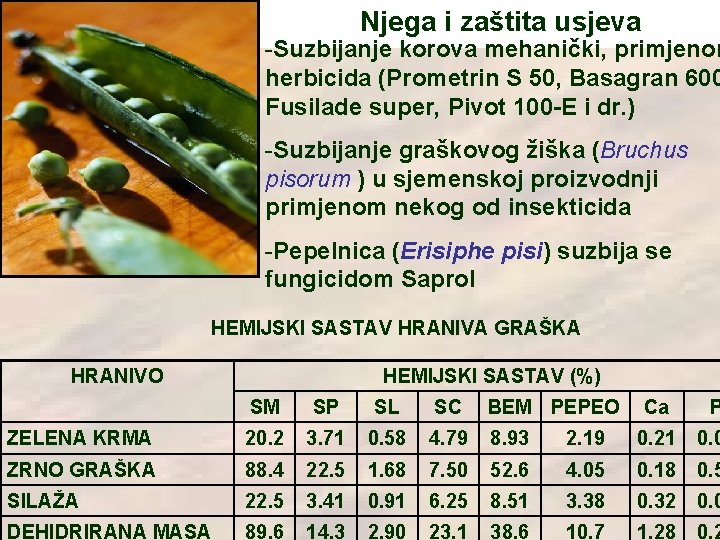 Njega i zaštita usjeva -Suzbijanje korova mehanički, primjenom herbicida (Prometrin S 50, Basagran 600 Njega i zaštita usjeva -Suzbijanje korova mehanički, primjenom herbicida (Prometrin S 50, Basagran 600