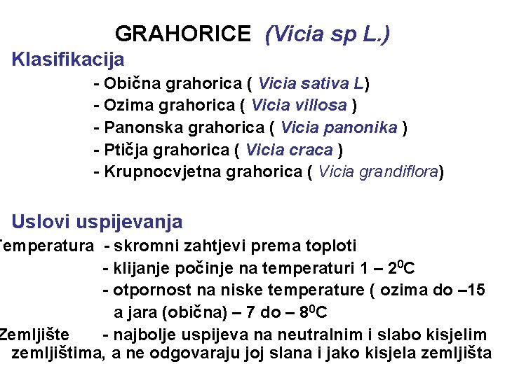 GRAHORICE (Vicia sp L. ) Klasifikacija - Obična grahorica ( Vicia sativa L) -