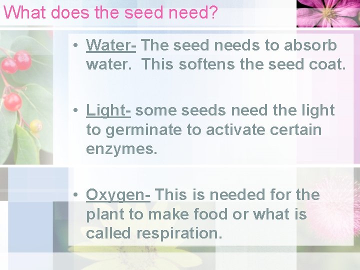 What does the seed need? • Water- The seed needs to absorb water. This
