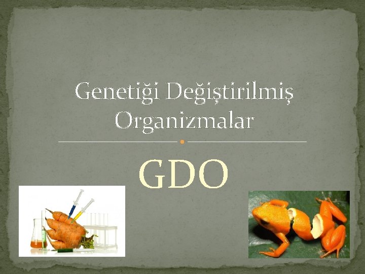 Genetiği Değiştirilmiş Organizmalar GDO 