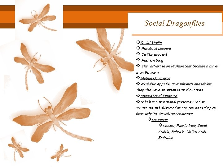 Social Dragonflies v. Social Media v Facebook account v Twitter account v Fashion Blog