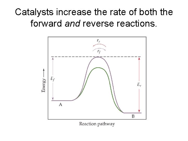 Catalysts increase the rate of both the forward and reverse reactions. 