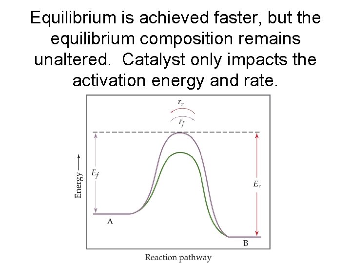 Equilibrium is achieved faster, but the equilibrium composition remains unaltered. Catalyst only impacts the