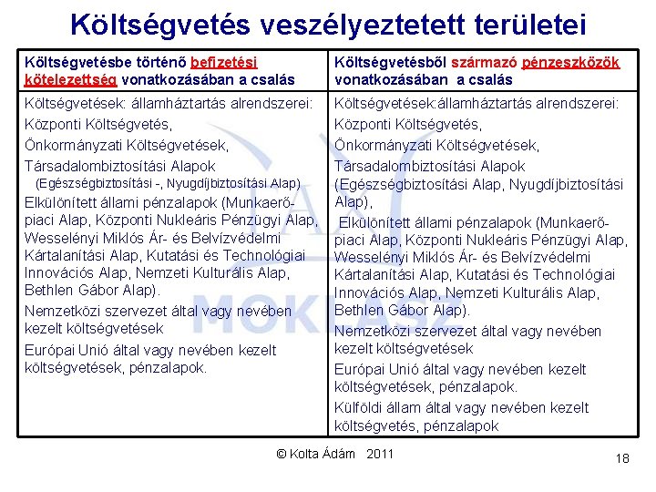 Költségvetés veszélyeztetett területei Költségvetésbe történő befizetési kötelezettség vonatkozásában a csalás Költségvetésből származó pénzeszközök vonatkozásában