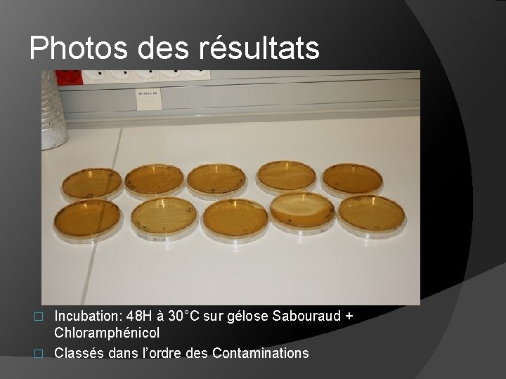 Photos des résultats Incubation: 48 H à 30°C sur gélose Sabouraud + Chloramphénicol �