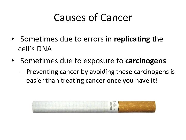 Causes of Cancer • Sometimes due to errors in replicating the cell’s DNA •