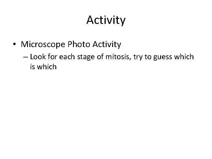 Activity • Microscope Photo Activity – Look for each stage of mitosis, try to