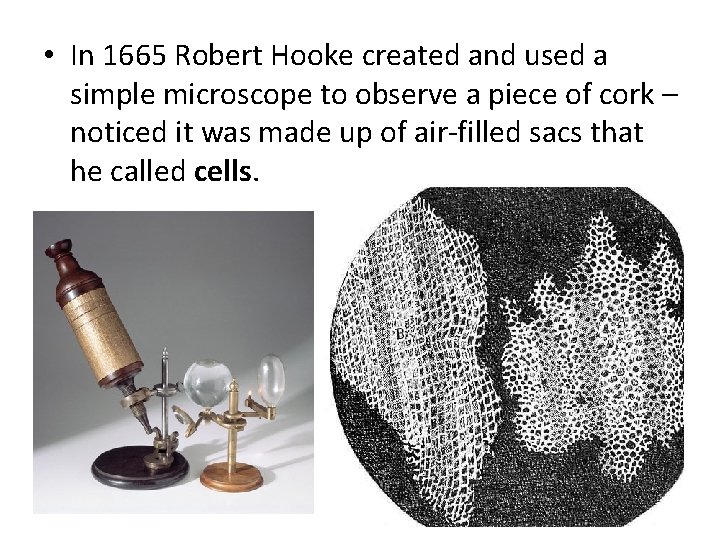  • In 1665 Robert Hooke created and used a simple microscope to observe