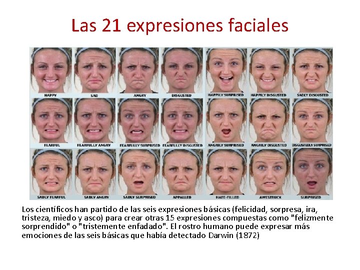 Las 21 expresiones faciales Los científicos han partido de las seis expresiones básicas (felicidad,