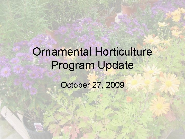 Ornamental Horticulture Program Update October 27, 2009 