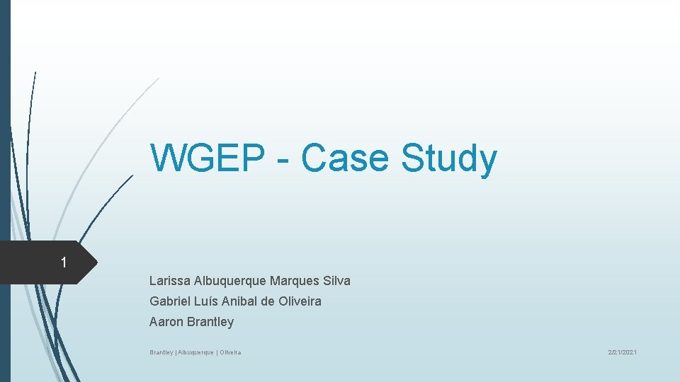 WGEP - Case Study 1 Larissa Albuquerque Marques Silva Gabriel Luís Anibal de Oliveira