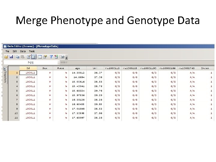 Merge Phenotype and Genotype Data Merge Phenotype and Genotype Data