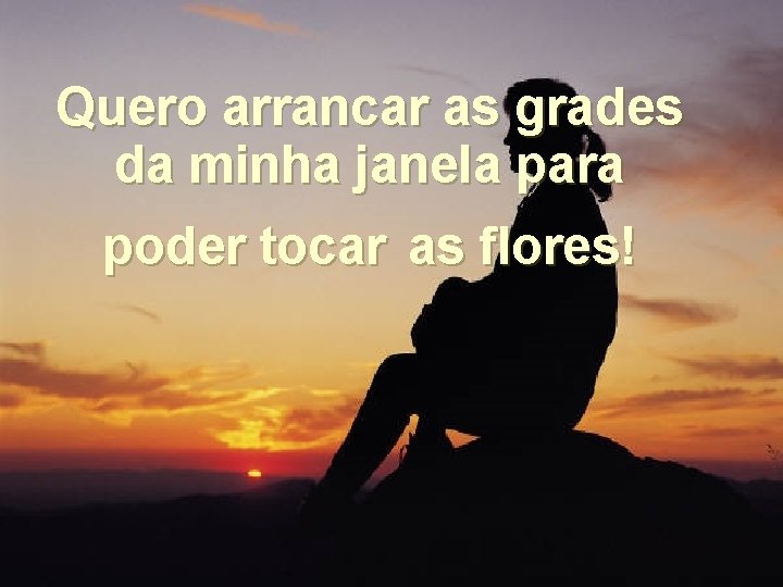 Quero arrancar as grades da minha janela para poder tocar as flores! 