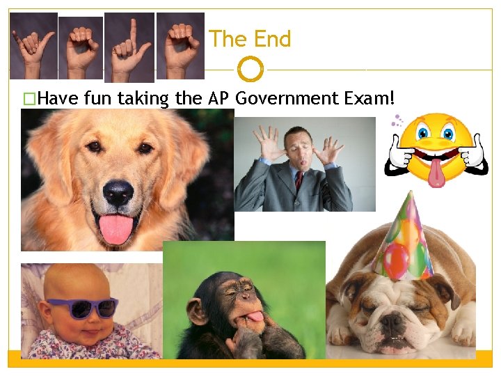 The End �Have fun taking the AP Government Exam! The End �Have fun taking the AP Government Exam!