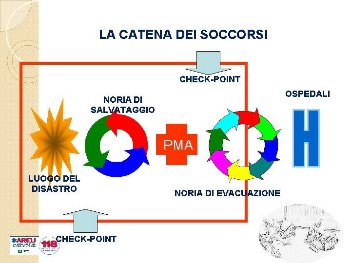 LA CATENA DEI SOCCORSI CHECK-POINT OSPEDALI NORIA DI SALVATAGGIO PMA LUOGO DEL DISASTRO CHECK-POINT