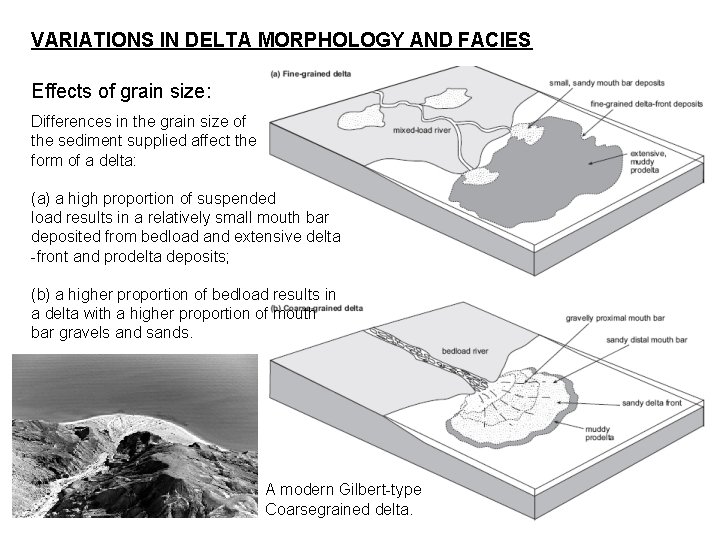 VARIATIONS IN DELTA MORPHOLOGY AND FACIES Effects of grain size: Differences in the grain