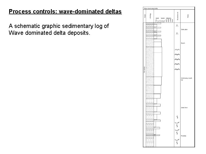 Process controls: wave-dominated deltas A schematic graphic sedimentary log of Wave dominated delta deposits.