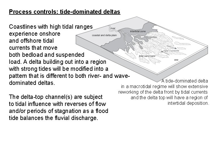 Process controls: tide-dominated deltas Coastlines with high tidal ranges experience onshore and offshore tidal