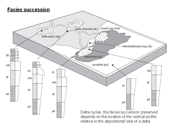 Facies succession Delta cycles: the facies succession preserved depends on the location of the