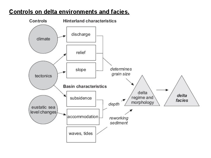 Controls on delta environments and facies. 