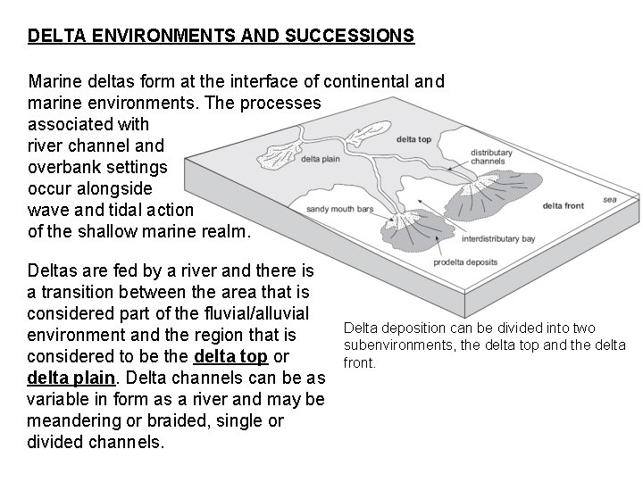 DELTA ENVIRONMENTS AND SUCCESSIONS Marine deltas form at the interface of continental and marine