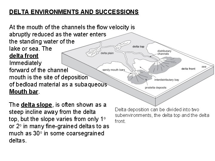 DELTA ENVIRONMENTS AND SUCCESSIONS At the mouth of the channels the flow velocity is