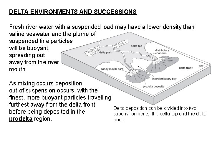 DELTA ENVIRONMENTS AND SUCCESSIONS Fresh river water with a suspended load may have a