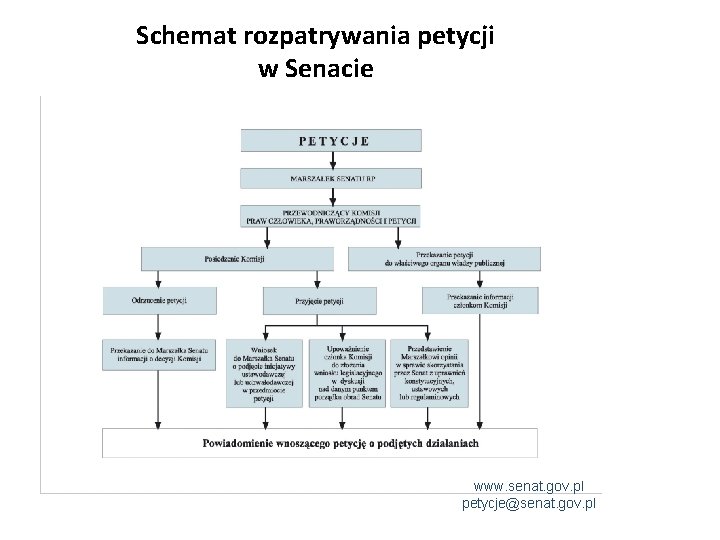 Schemat rozpatrywania petycji w Senacie www. senat. gov. pl petycje@senat. gov. pl 