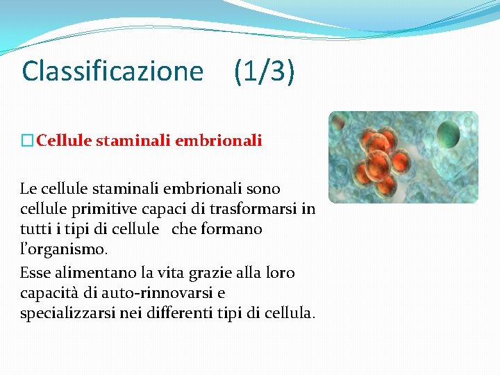 Classificazione (1/3) � Cellule staminali embrionali Le cellule staminali embrionali sono cellule primitive capaci