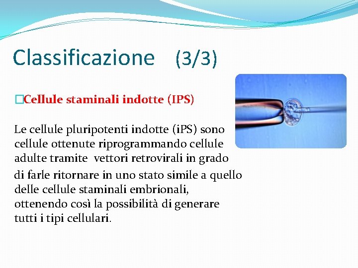 Classificazione (3/3) �Cellule staminali indotte (IPS) Le cellule pluripotenti indotte (i. PS) sono cellule