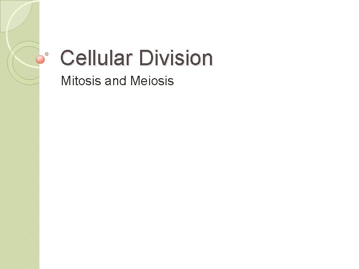 Cellular Division Mitosis and Meiosis 