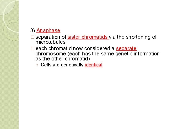 3) Anaphase: � separation of sister chromatids via the shortening of microtubules � each
