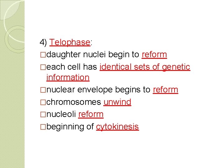 4) Telophase: �daughter nuclei begin to reform �each cell has identical sets of genetic