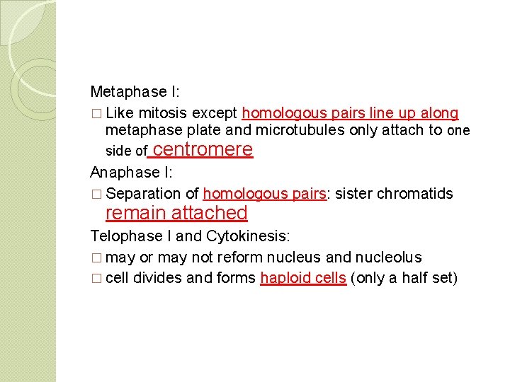 Metaphase I: � Like mitosis except homologous pairs line up along metaphase plate and