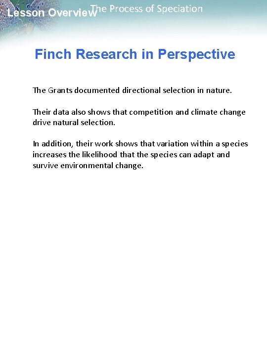The Process of Speciation Lesson Overview Finch Research in Perspective The Grants documented directional The Process of Speciation Lesson Overview Finch Research in Perspective The Grants documented directional