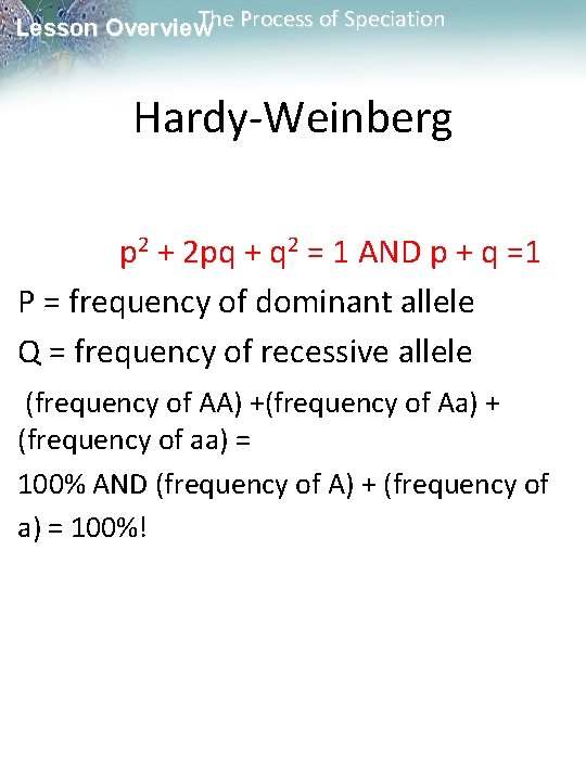 The Process of Speciation Lesson Overview Hardy-Weinberg p 2 + 2 pq + q The Process of Speciation Lesson Overview Hardy-Weinberg p 2 + 2 pq + q