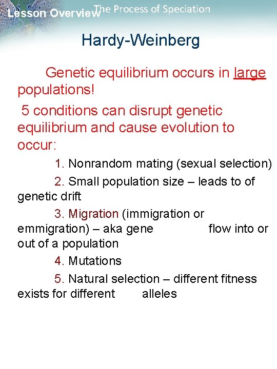 The Process of Speciation Lesson Overview Hardy-Weinberg Genetic equilibrium occurs in large populations! 5 The Process of Speciation Lesson Overview Hardy-Weinberg Genetic equilibrium occurs in large populations! 5