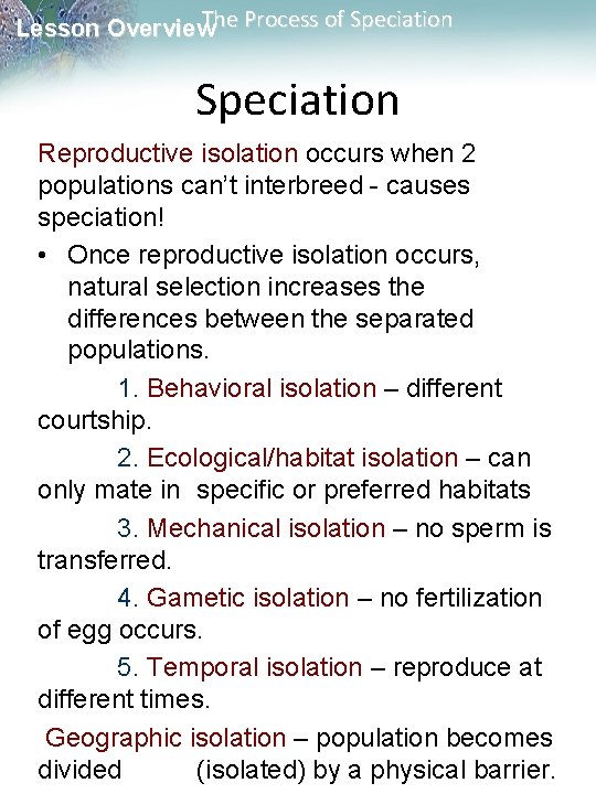 The Process of Speciation Lesson Overview Speciation Reproductive isolation occurs when 2 populations can’t The Process of Speciation Lesson Overview Speciation Reproductive isolation occurs when 2 populations can’t