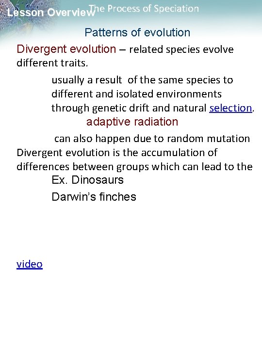 The Process of Speciation Lesson Overview Patterns of evolution Divergent evolution – related species The Process of Speciation Lesson Overview Patterns of evolution Divergent evolution – related species