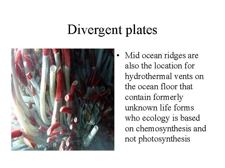 Divergent plates • Mid ocean ridges are also the location for hydrothermal vents on