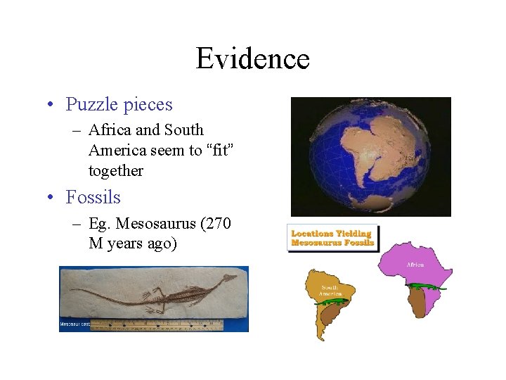 Evidence • Puzzle pieces – Africa and South America seem to “fit” together •