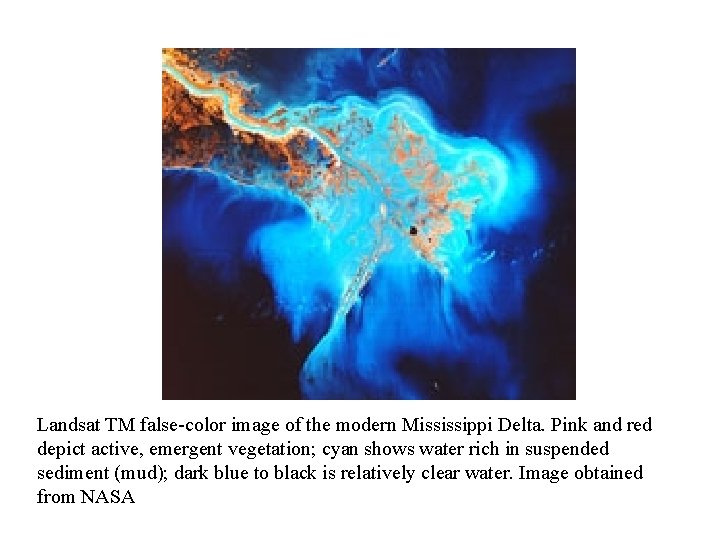 Landsat TM false-color image of the modern Mississippi Delta. Pink and red depict active,