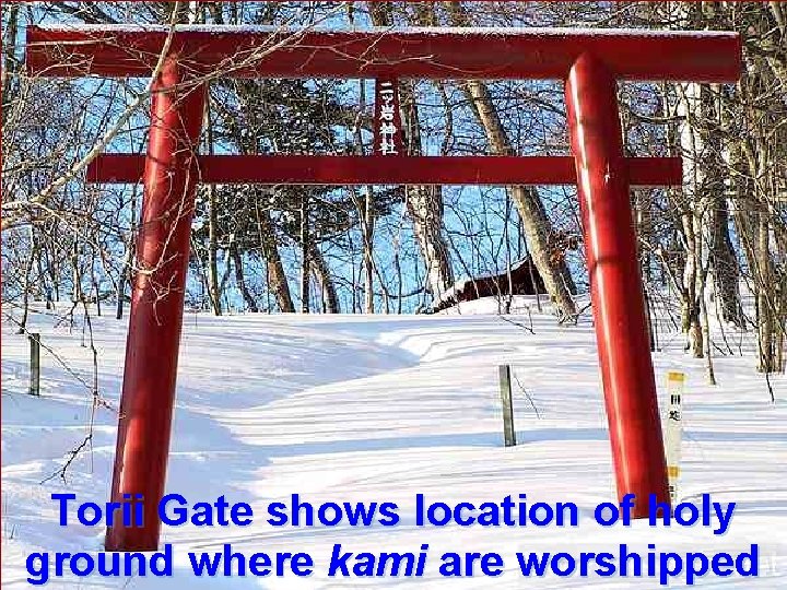 Tree kami surrounded by An sacred boundaries W ce Polytheism or sto sh r Tree kami surrounded by An sacred boundaries W ce Polytheism or sto sh r